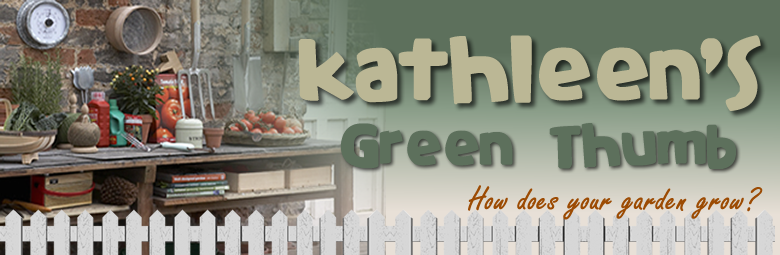 KGT Banner