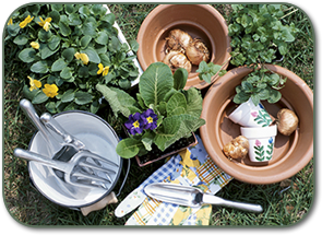 flower pots